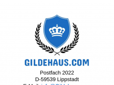 Screenshot der Domain ingenieurbuero-gildehaus.de