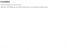 Screenshot der Domain interface-addons.de