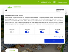 Screenshot der Domain ipack.de