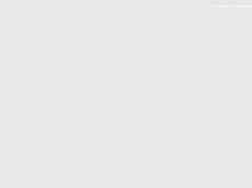 Screenshot der Domain langbro.de