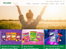 Screenshot der Domain lernspiel.eu