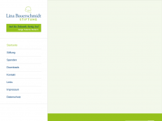Screenshot der Domain lina-bauerschmidt-stiftung.de