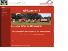 Screenshot der Domain lzg-dithmarschen.de