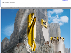 Screenshot der Domain mayer-tools.de