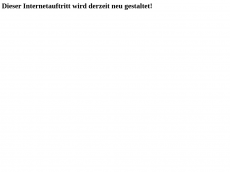 Screenshot der Domain mayer-transporte.de