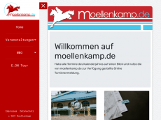 Screenshot der Domain moellenkamp.de