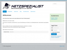 Screenshot der Domain netzspezialist.de