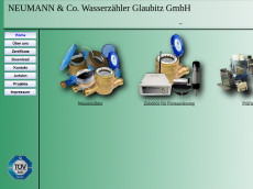 Screenshot der Domain neumann-glaubitz.de