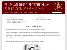 Screenshot der Domain ninjutsu-pforzheim.de