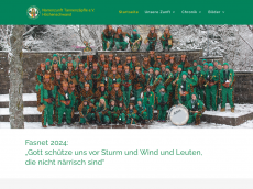 Screenshot der Domain nztz.de