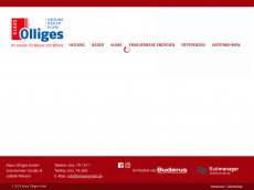 Screenshot von olligesgmbh.de