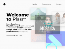 Screenshot der Domain plasm.it