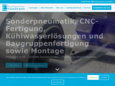 Screenshot der Domain pneumatik24.de