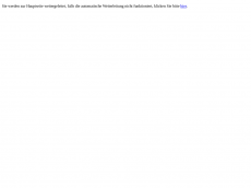 Screenshot der Domain regensburger-antikmarkt.de