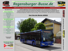 Screenshot der Domain regensburger-busse.de