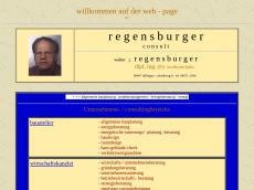 Screenshot der Domain regensburger-dlg.de