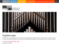 Screenshot der Domain regensburger-domorgel.de