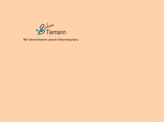 Screenshot der Domain salon-tiemann.de