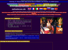 Screenshot der Domain salsa-bayern.de