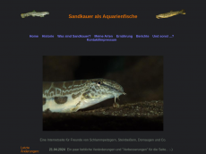 Screenshot der Domain sandkauer.de