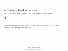 Screenshot der Domain schnaeppchenforum.com