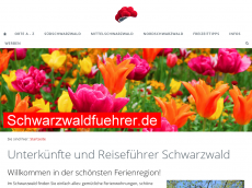 Screenshot der Domain schwarzwaldtourist.info