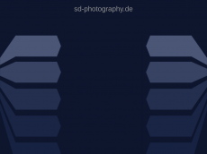 Screenshot der Domain sd-photography.de