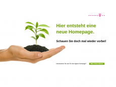 Screenshot der Domain sdl-log.de