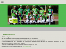 Screenshot der Domain segwaypolobalve.de