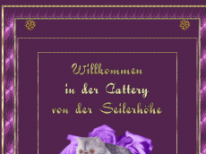 Screenshot der Domain seilerhoehecats.de