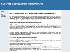 Screenshot der Domain seo-profi.de