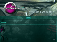 Screenshot der Domain silberhammer.de