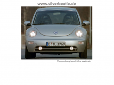 Screenshot der Domain silverbeetle.de