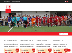 Screenshot der Domain sportverein-bliesmengen.de
