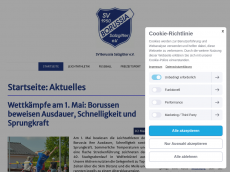 Screenshot der Domain sportverein-borussia-salzgitter.de