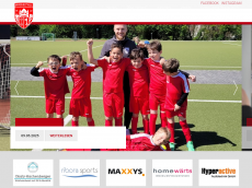 Screenshot der Domain spvgg-eltvillejugend.de