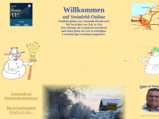 Screenshot der Domain steinfeld-online.de