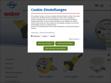 Screenshot der Domain stroemungsmesser.de