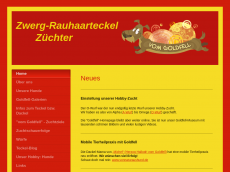 Screenshot der Domain super-teckel.de