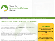 Screenshot der Domain sv-og-plochingen.de