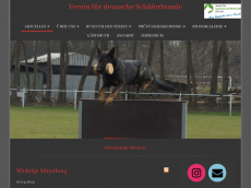 Screenshot der Domain sv-og-rastatt.de