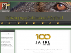 Screenshot der Domain sv-og-reichenbach.de