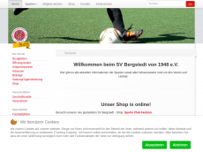 Screenshot der Domain svbergstedt.de