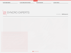 Screenshot der Domain syncro-experts.com