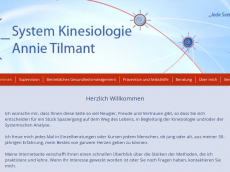 Screenshot der Domain system-kinesiologie.net