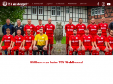 Screenshot der Domain waldkappel-fussball.de