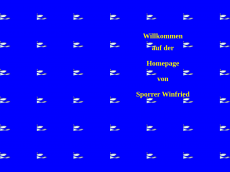 Screenshot der Domain wi-spo.de