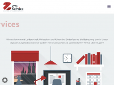 Screenshot der Domain zysservice.de